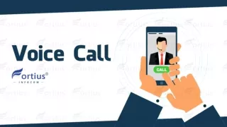 Voice Call Service from Fortius Infocom