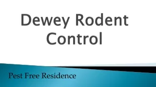 Dewey Rodent Control