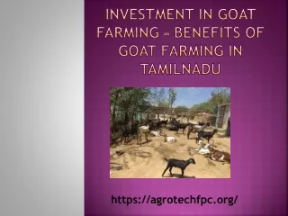 Tips for investment in goat farming - Make Maximum Profit in Goat Farm