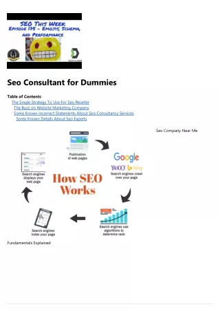 seo consultant for dummies