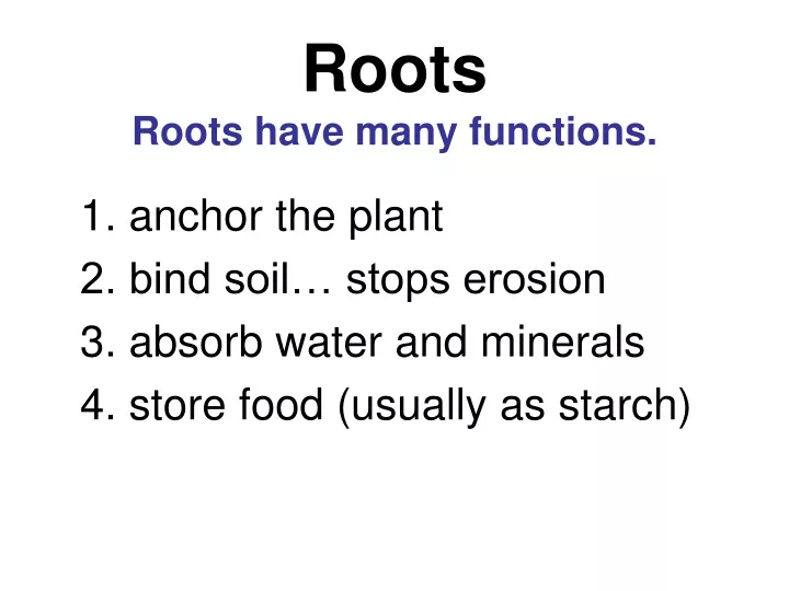 roots roots have many functions