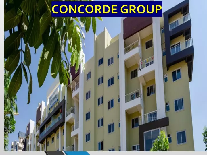 concorde group