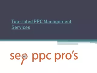 Top-rated PPC Management Services - www.seoppcpros.com
