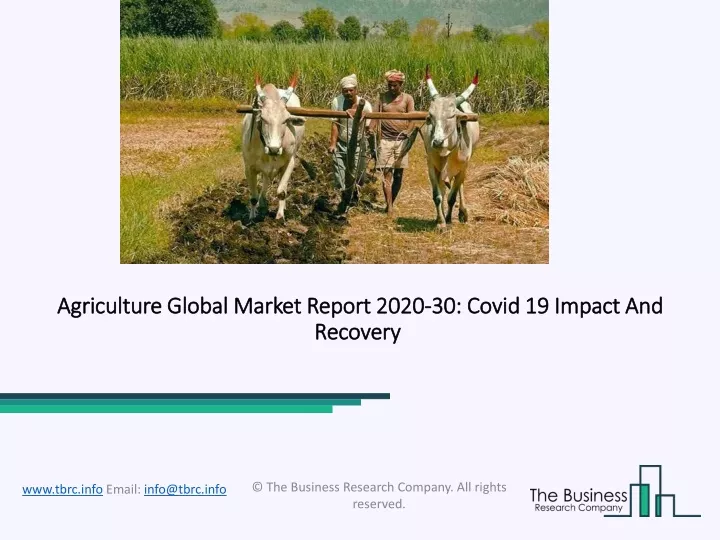 agriculture global market report 2020 30 covid 19 impact and recovery