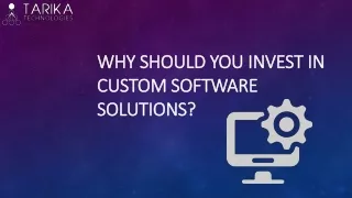 why should you invest in custom software solutions
