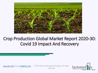 crop production global market report 2020 30 covid 19 impact and recovery