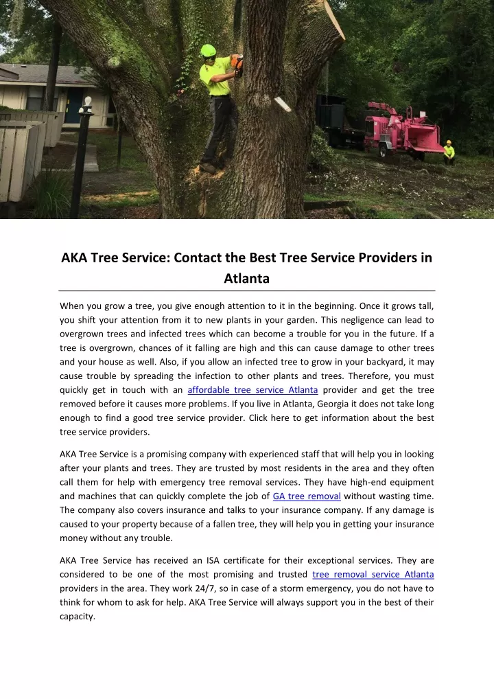 aka tree service contact the best tree service