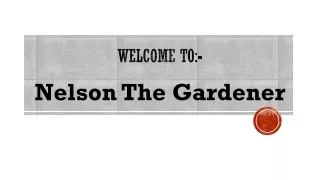 welcome to