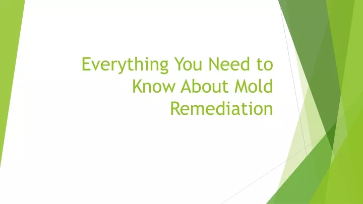 everything you need to know about mold remediation