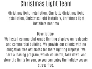 Christmas Light Team