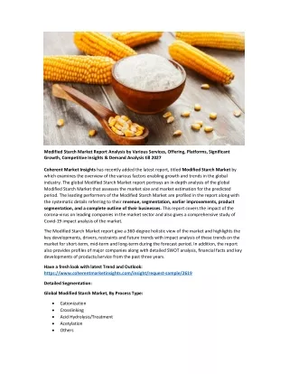 Modified Starch Market