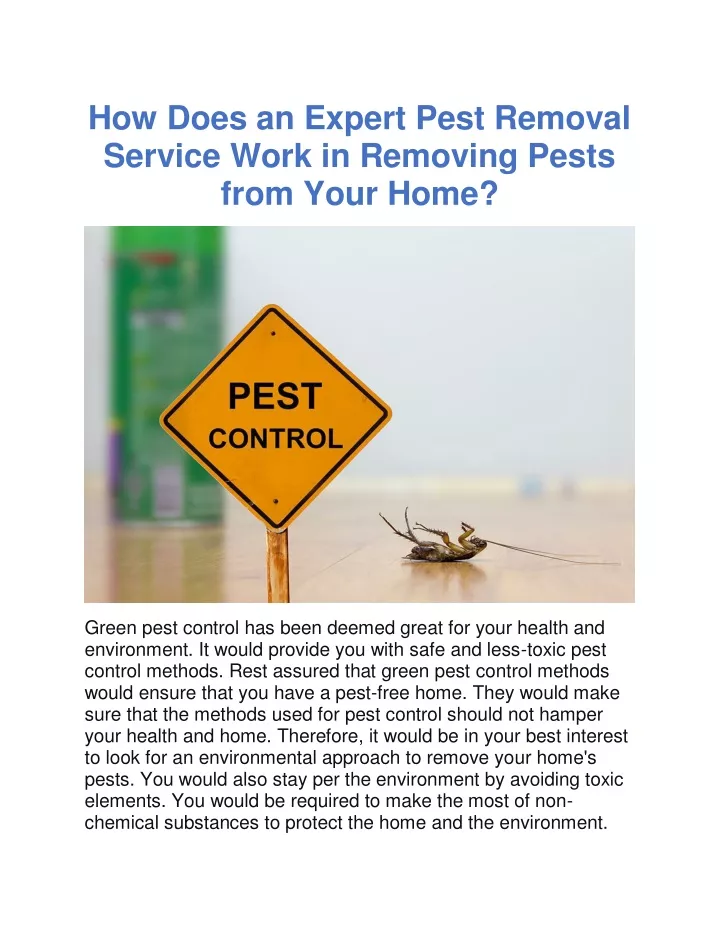 how does an expert pest removal service work