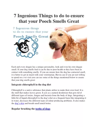 7 Ingenious Things to do to ensure that your Pooch Smells Great