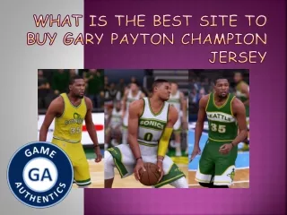What is the best site to Buy gary payton champion jersey