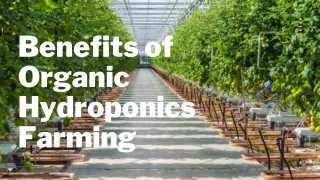 Benefits of Hydroponic organic Gardening