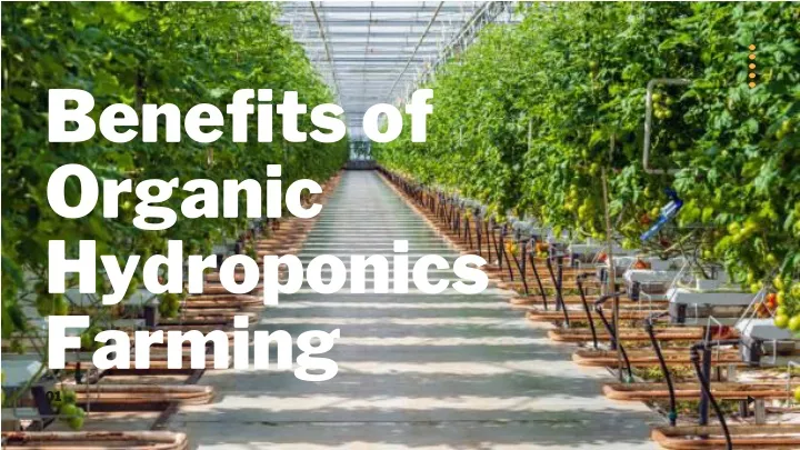 benefits of organic hydroponics farming