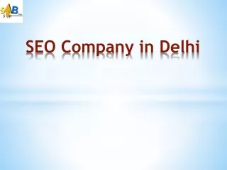 SEO Company in Delhi