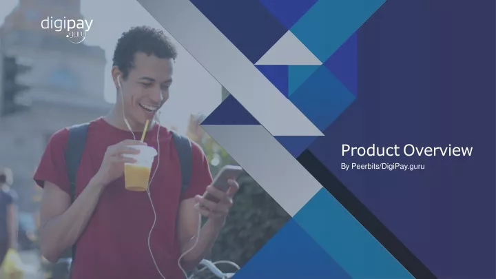 product overview by peerbits digipay guru