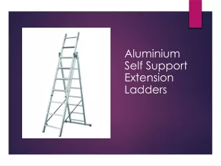 Aluminium Self Support Extension Ladders