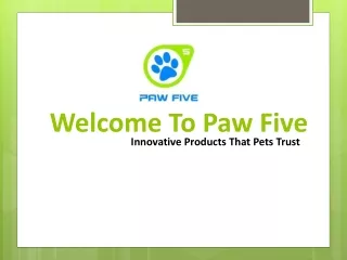 Dog Harness| Service Dog Harness | Paw Five
