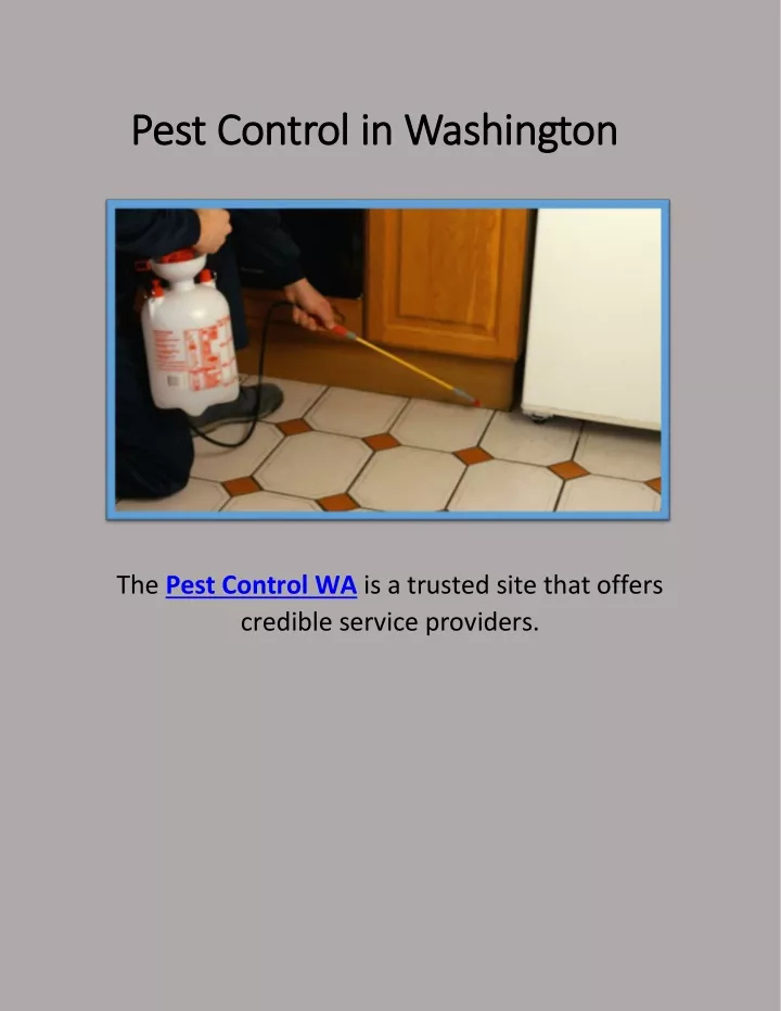 pest control in washington pest control