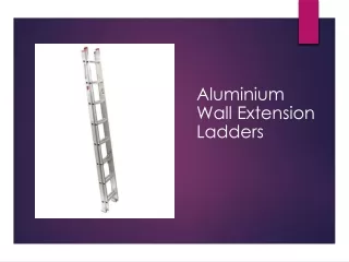 Aluminium Wall Extension Ladders