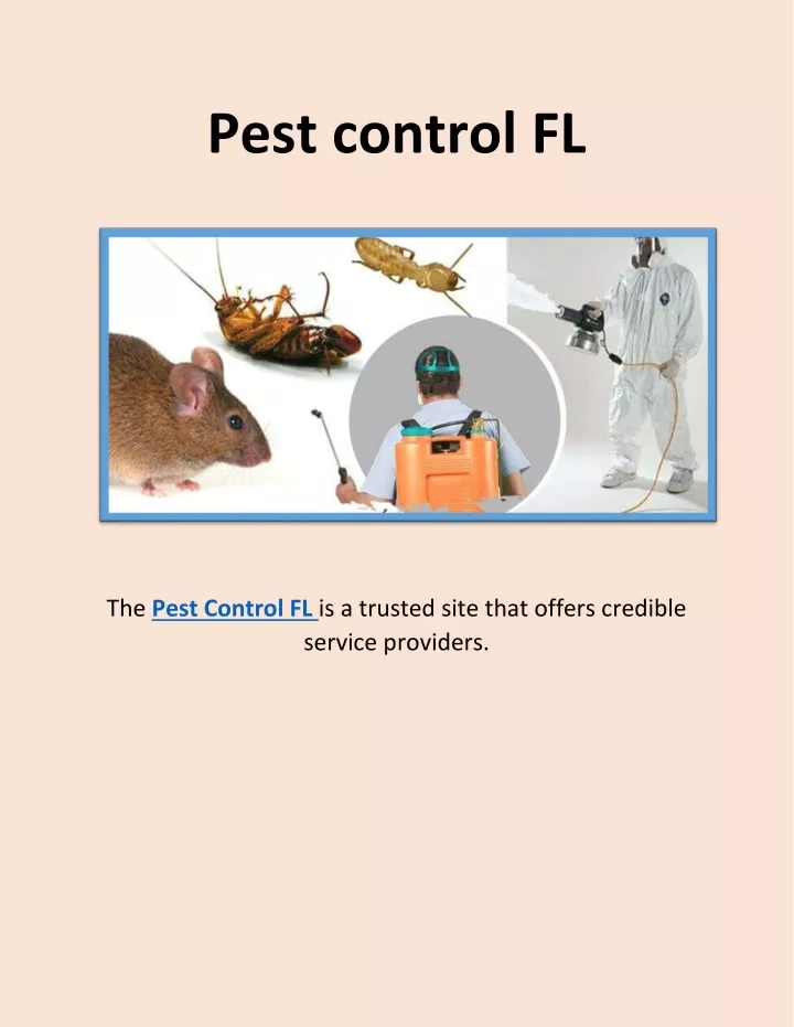 pest control fl