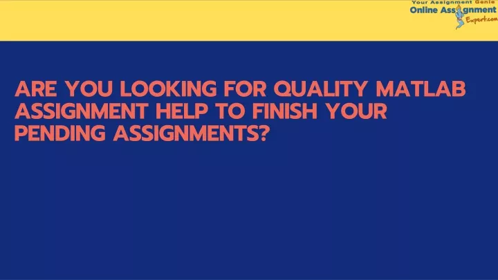 are you looking for quality matlab assignment