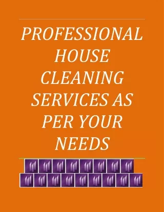 professional house cleaning services as per your