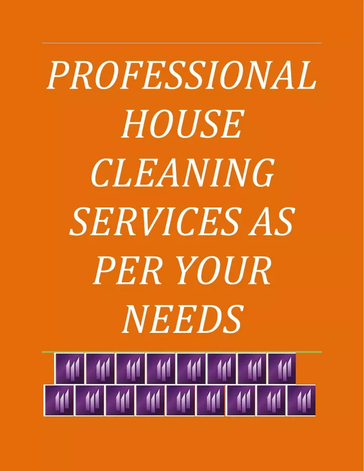 professional house cleaning services as per your