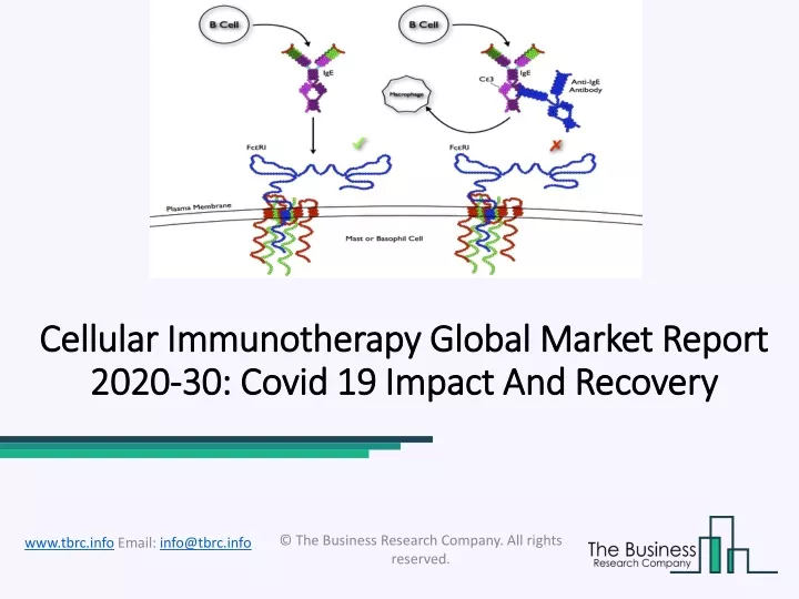 cellular cellular immunotherapy global