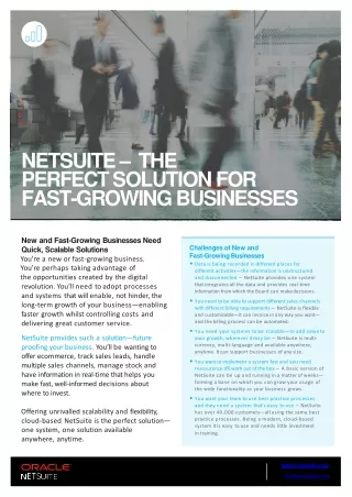 netsuite the perfect solution for fast growing businesses