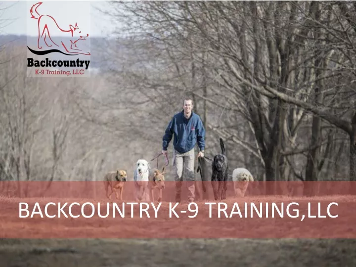 backcountry k 9 training llc