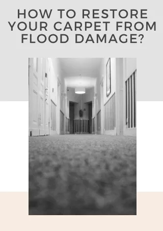 How to Restore Your Carpet from Flood Damage?