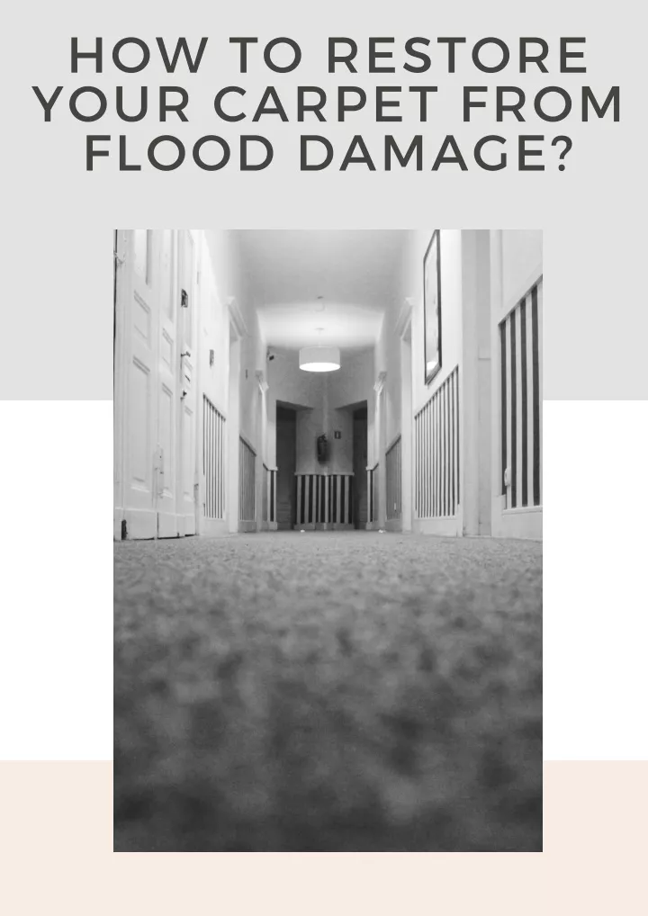 how to restore your carpet from flood damage