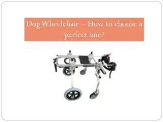 Dog Wheelchair – How to choose a perfect one