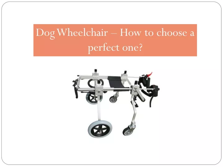 dog wheelchair how to choose a perfect one