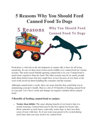 5 Reasons Why You Should Feed Canned Food To Dogs