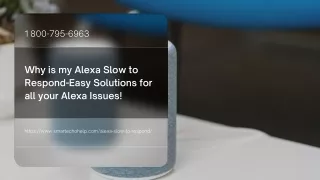 1 800 795 6963