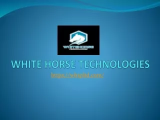 It's Time for SEO Consultant | White horse technologies pvt ltd