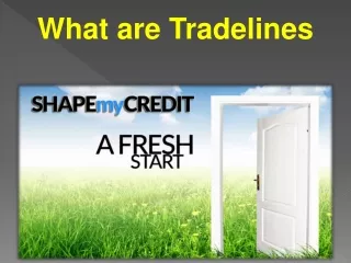 What are Tradelines