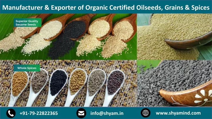 manufacturer exporter of organic certified