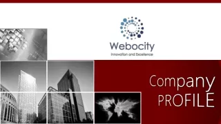 Web Development Agency- Webocity Technologies