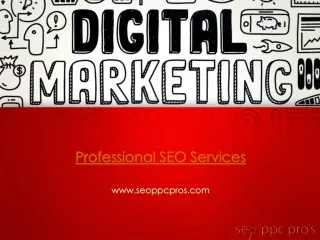 Professional SEO Services - www.seoppcpros.com