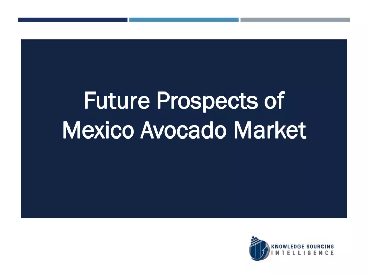 future prospects of mexico avocado market