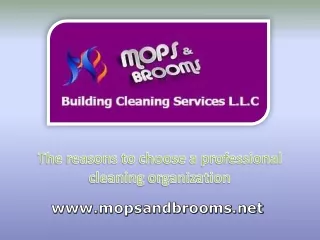 The reasons to choose a professional cleaning organization
