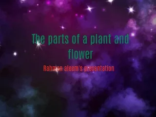 parts of plants and flower