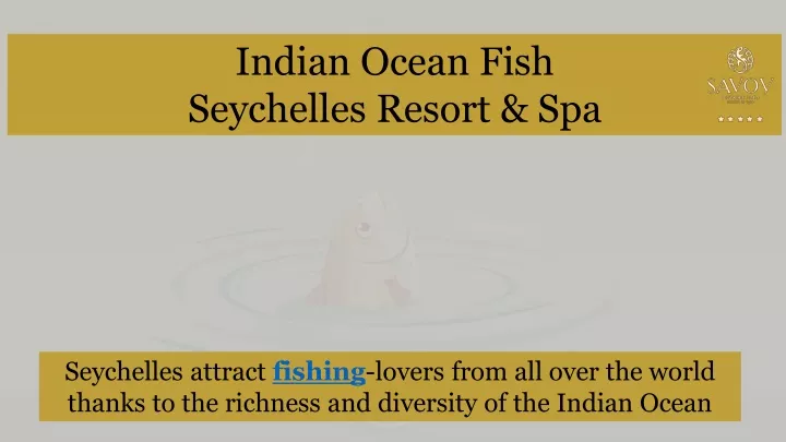 indian ocean fish seychelles resort spa