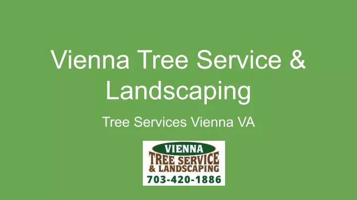 vienna tree service landscaping