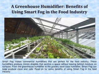 A Greenhouse Humidifier: Benefits of Using Smart Fog in the Food Industry
